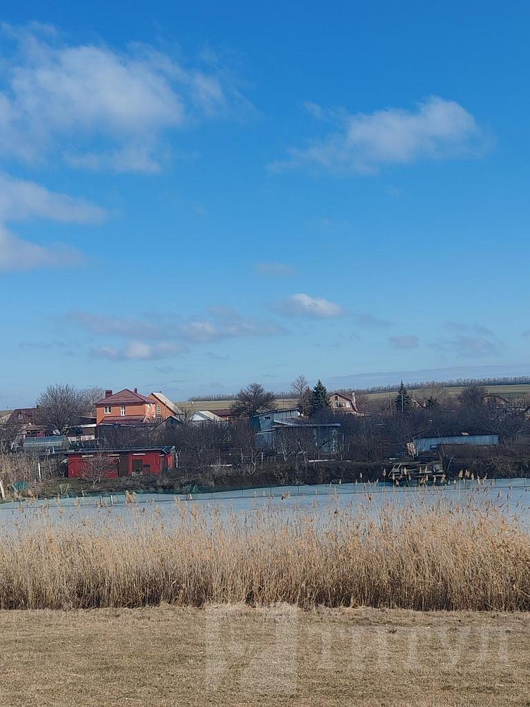 домрайон  Фото 3