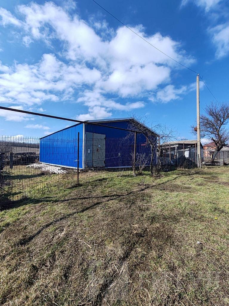 домрайон  Фото 1