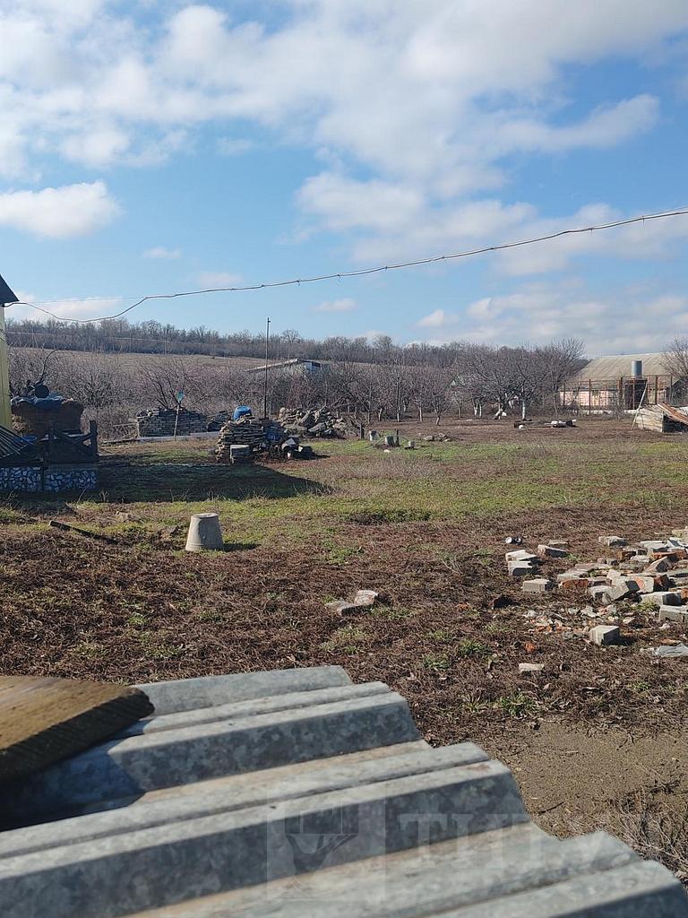 домрайон  Фото 5