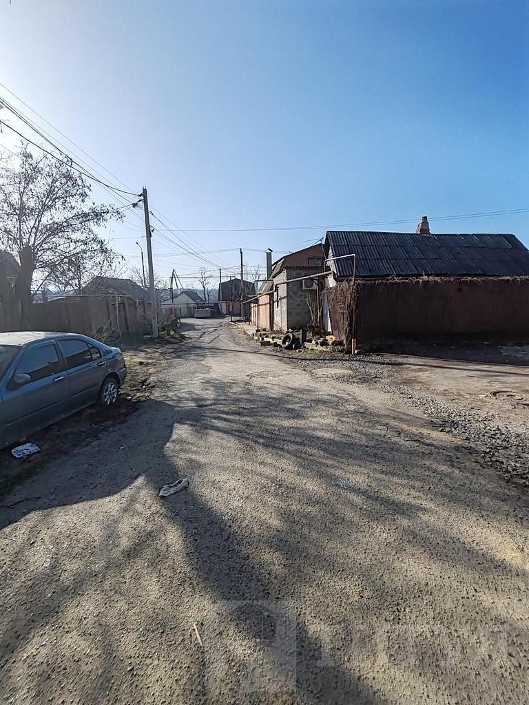 домрайон  Фото 2