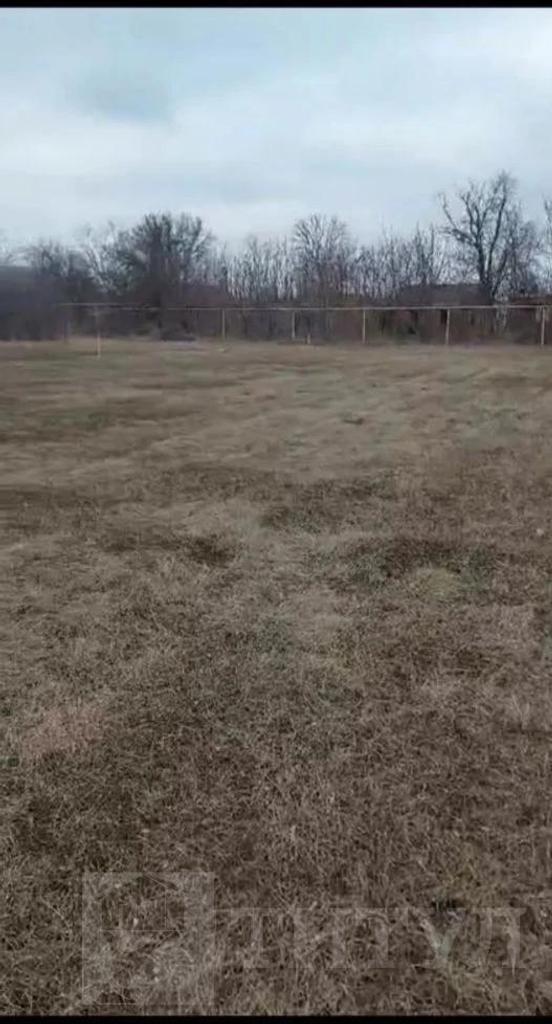 домрайон  Фото 2