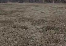 Thumb medium 673a943df0d53da44534fa7415fda73b