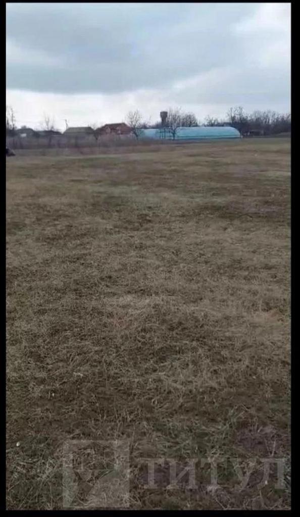 домрайон  Фото 1