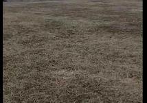 Thumb medium 652c8bfbdcbcbba953f562b228b749cc