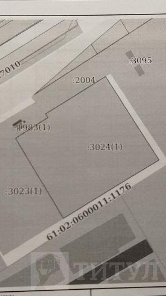 домрайон Фото 12