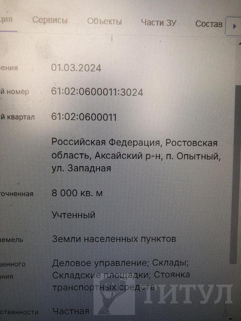 домрайон Фото 11