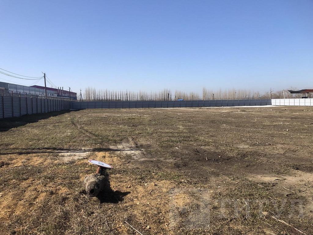 домрайон Фото 4