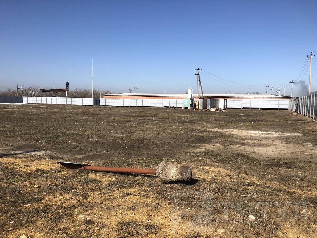 домрайон Фото 3