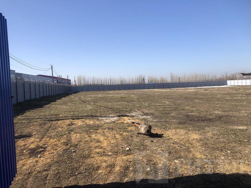 домрайон Фото 2