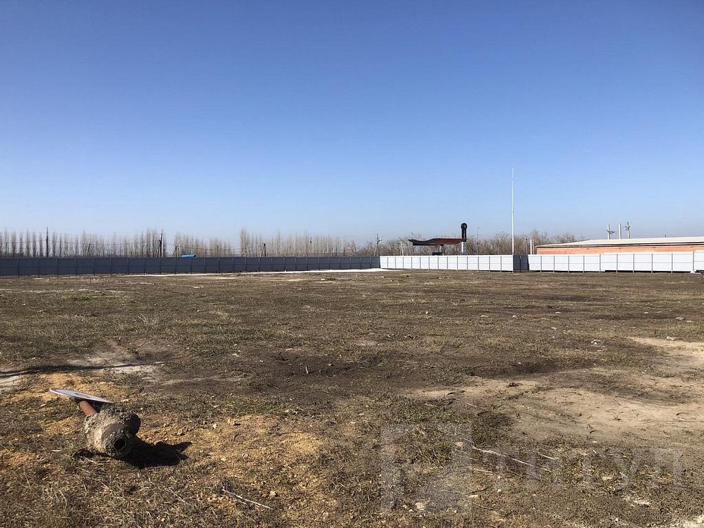 домрайон Фото 1