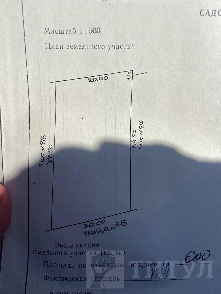 домрайон  Фото 4