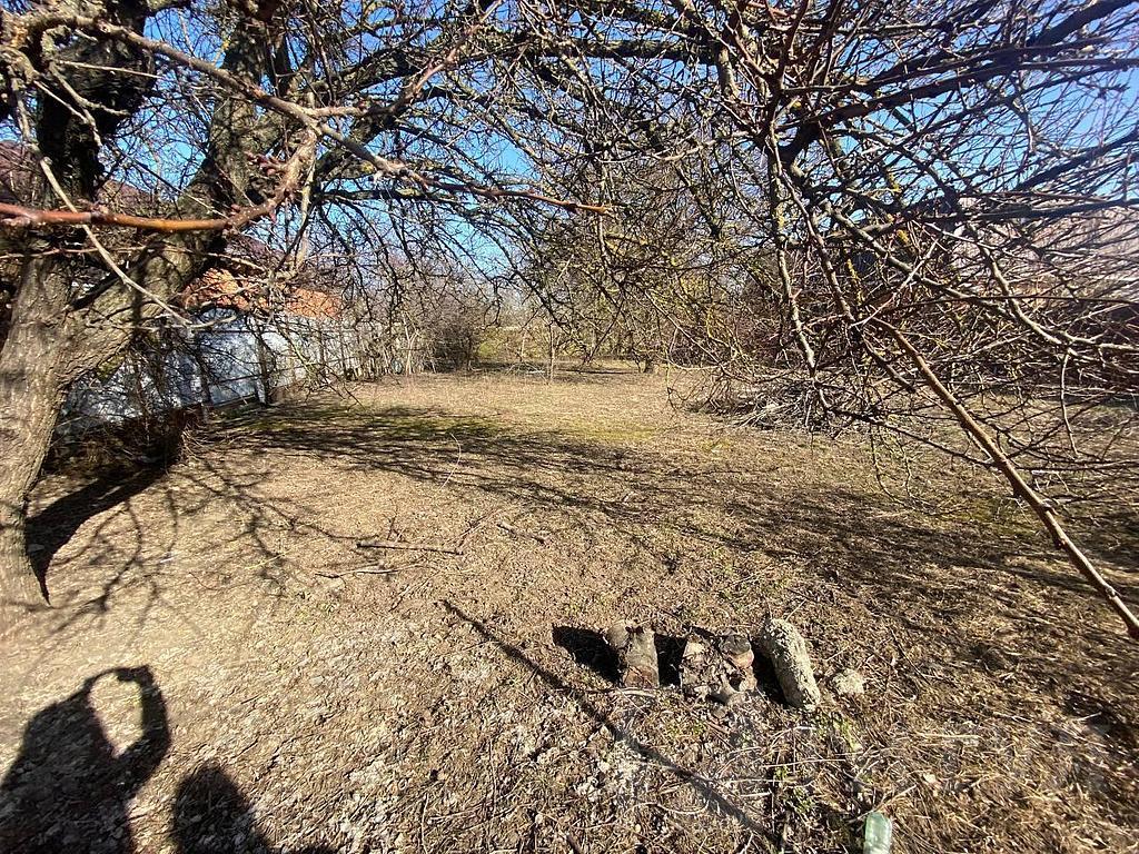 домрайон  Фото 3