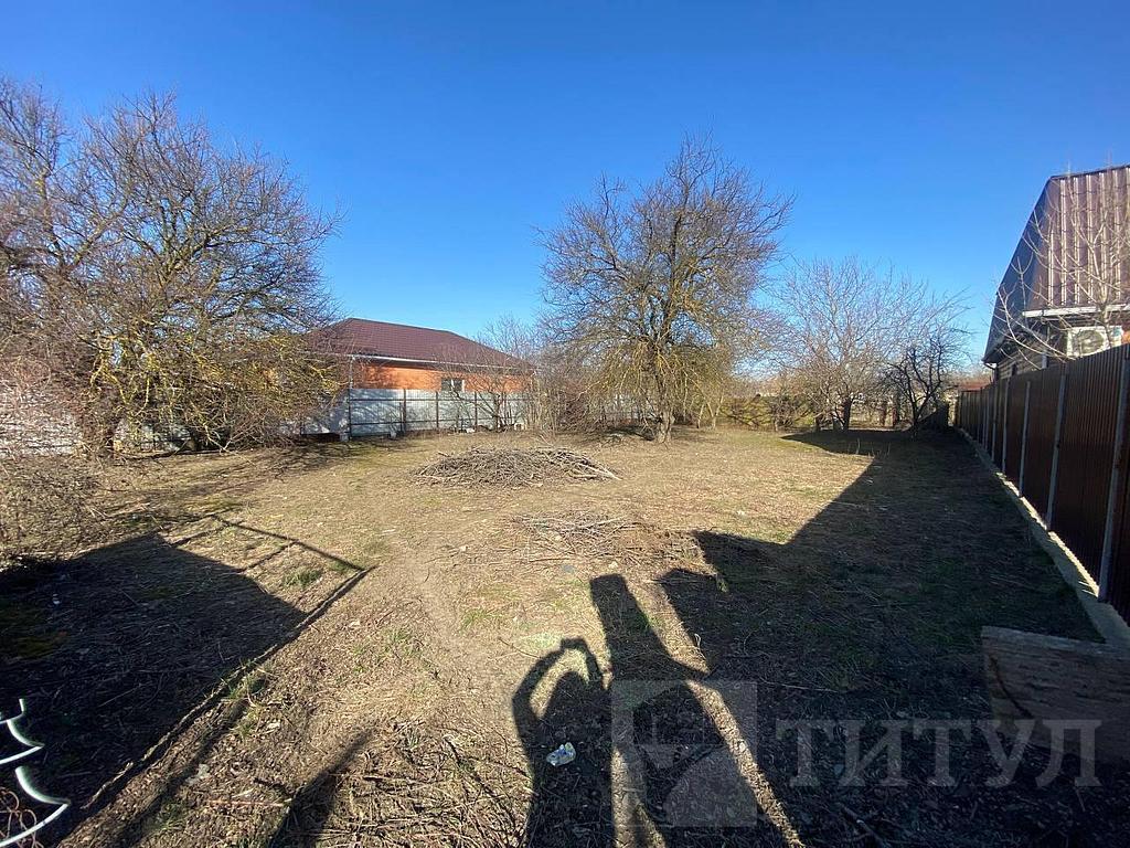 домрайон  Фото 2