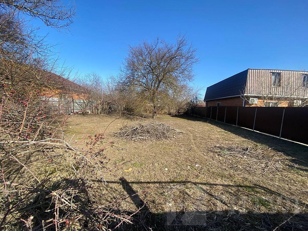 домрайон  Фото 1