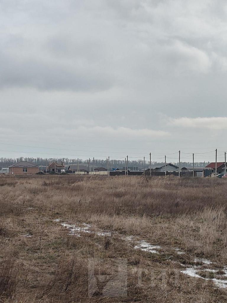 домрайон  Фото 4