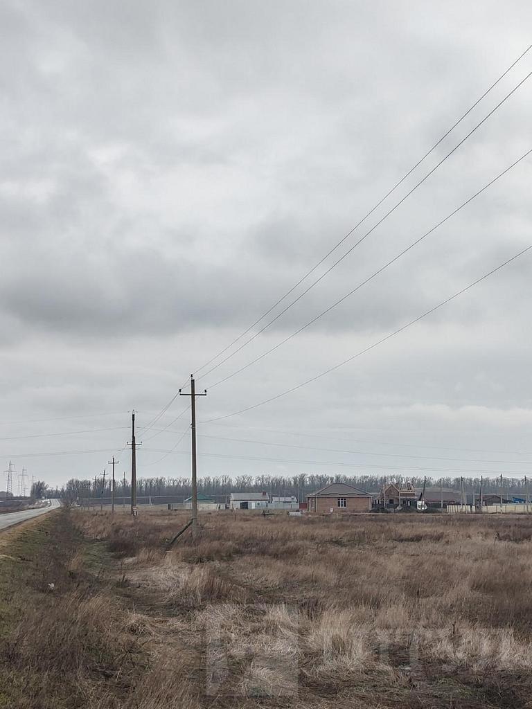 домрайон  Фото 3