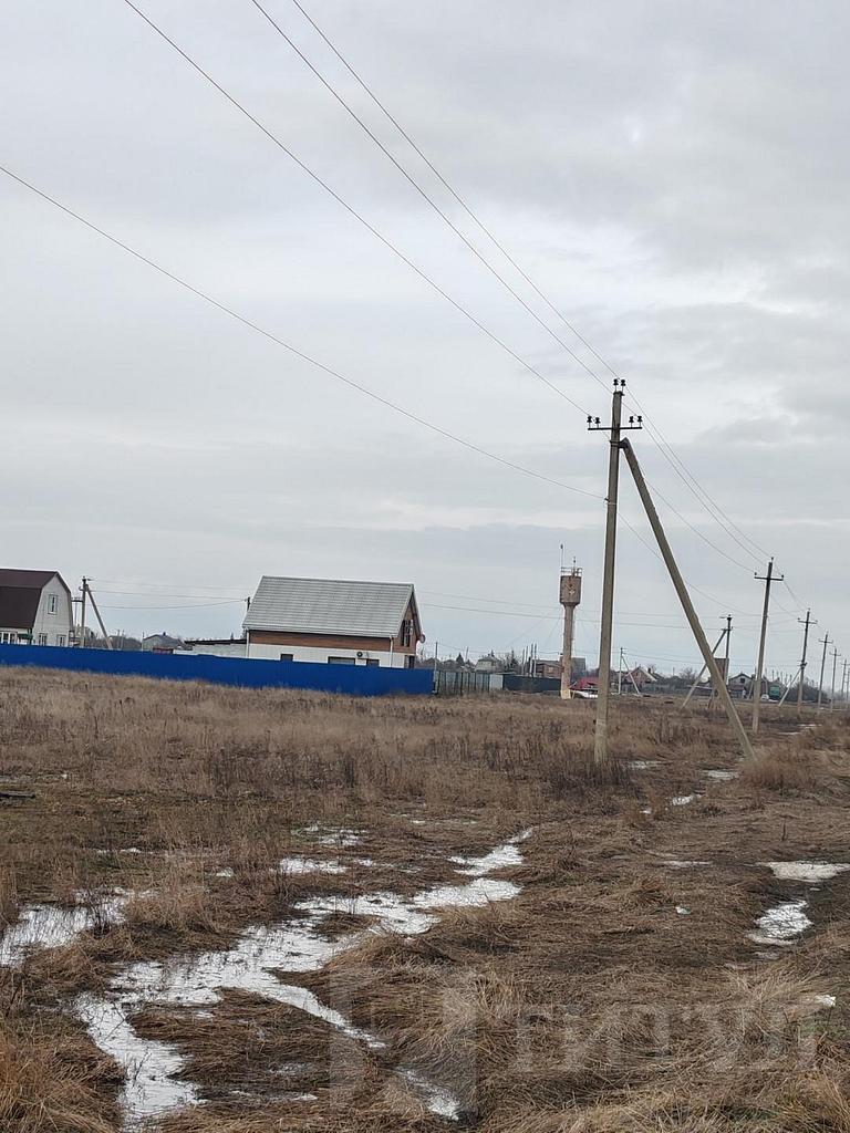 домрайон  Фото 2