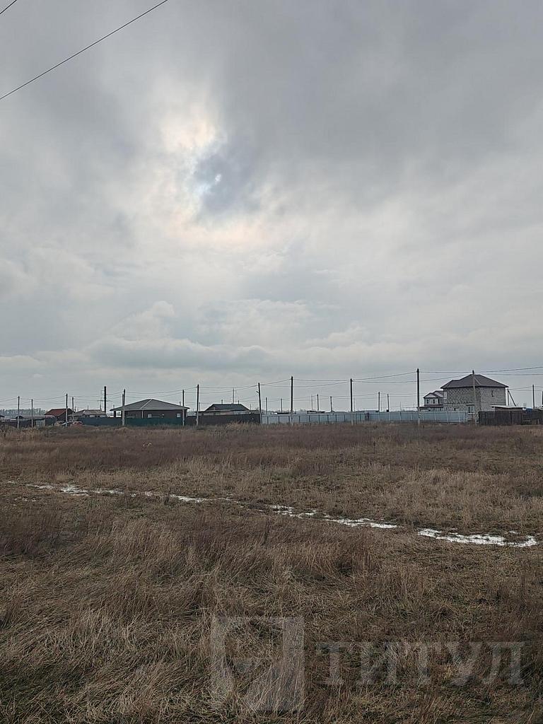 домрайон  Фото 1