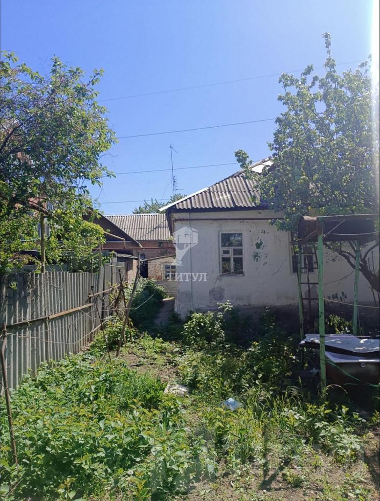 домрайон Фото 4