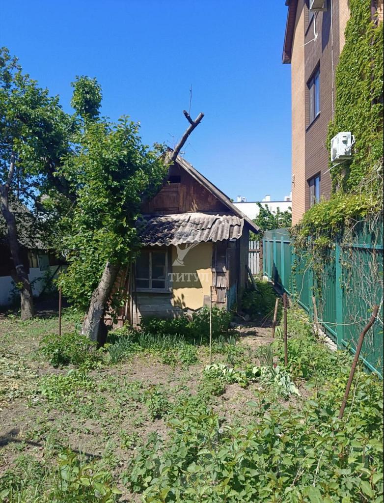 домрайон Фото 3