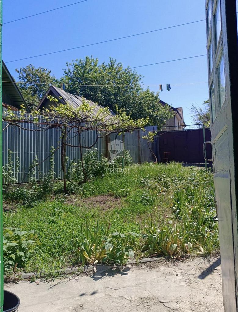 домрайон Фото 2