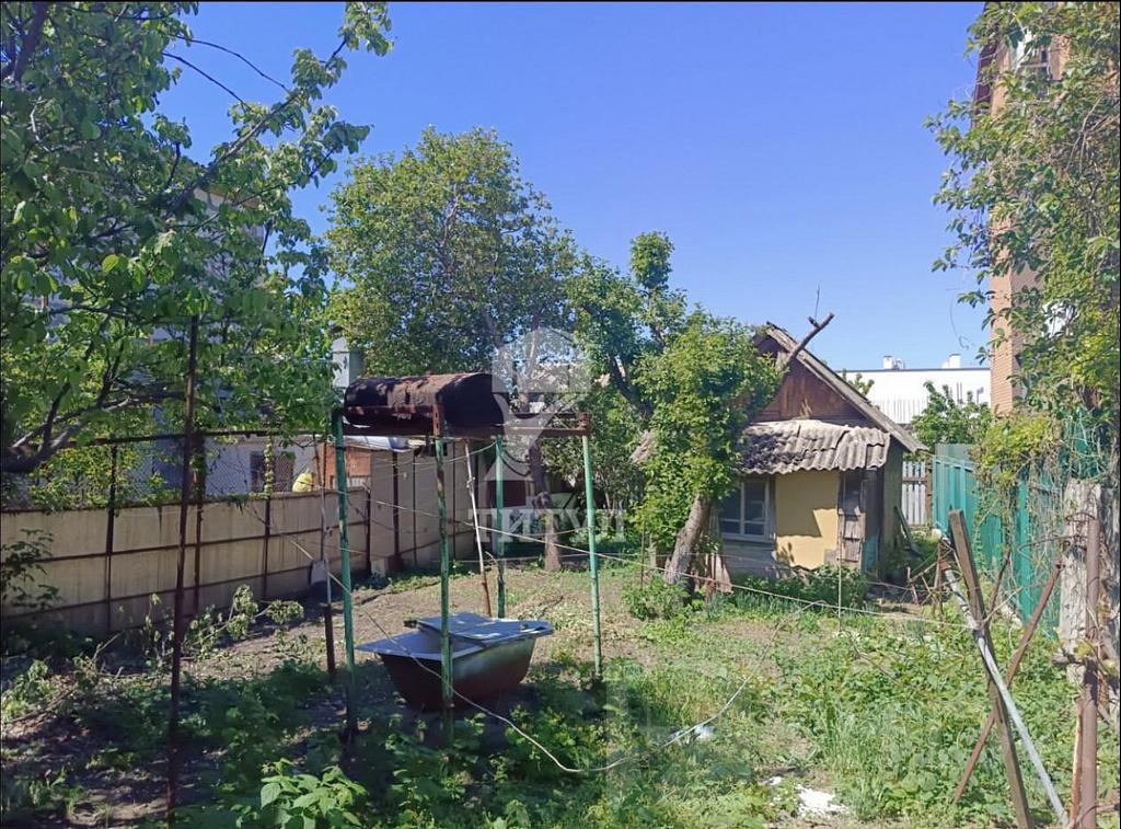 домрайон Фото 1