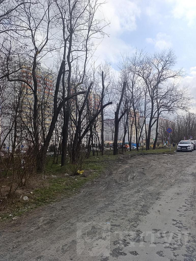 домрайон  Фото 5