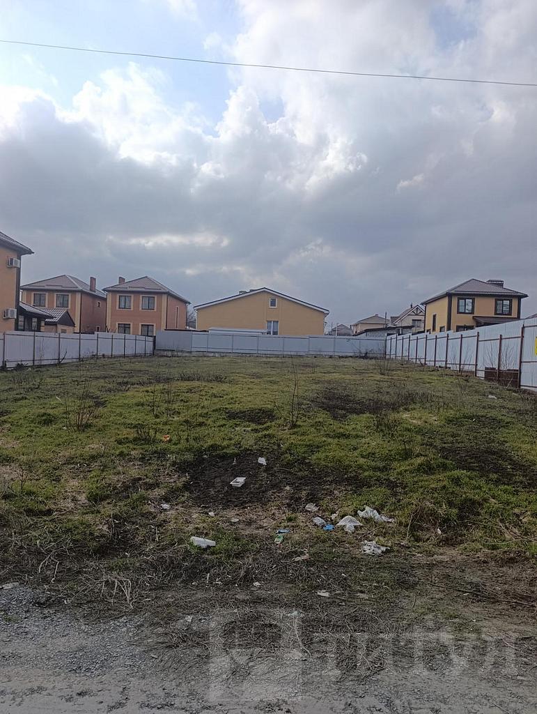 домрайон  Фото 4