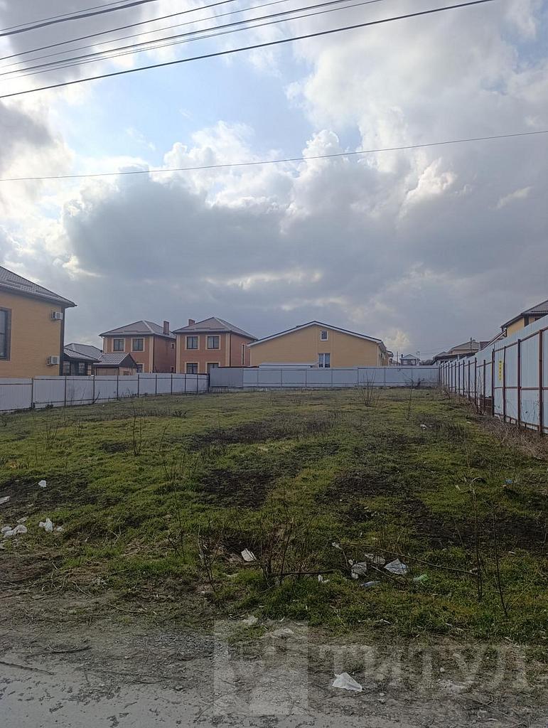 домрайон  Фото 1