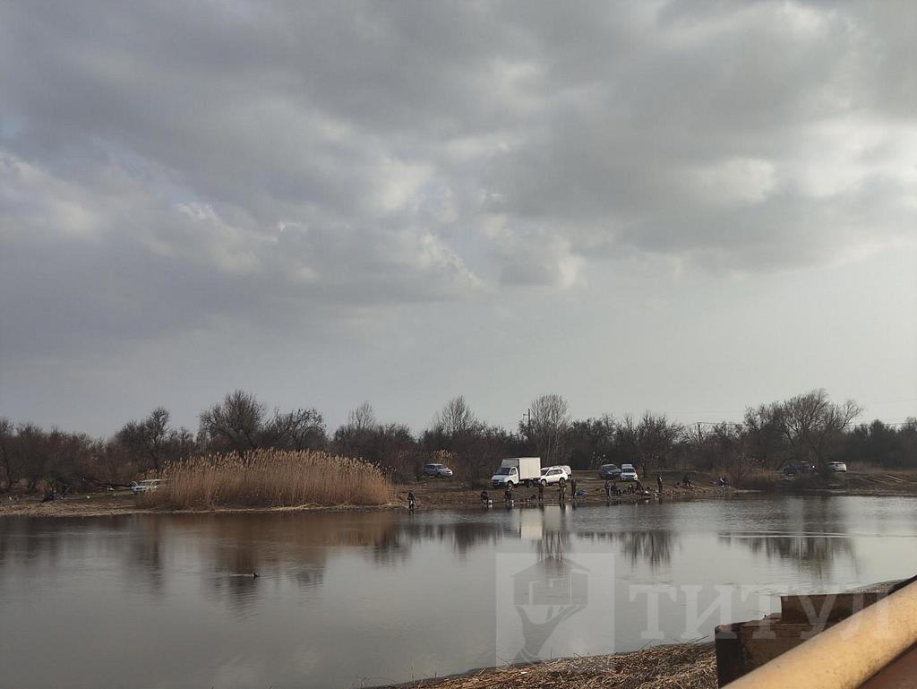 домрайон  Фото 4