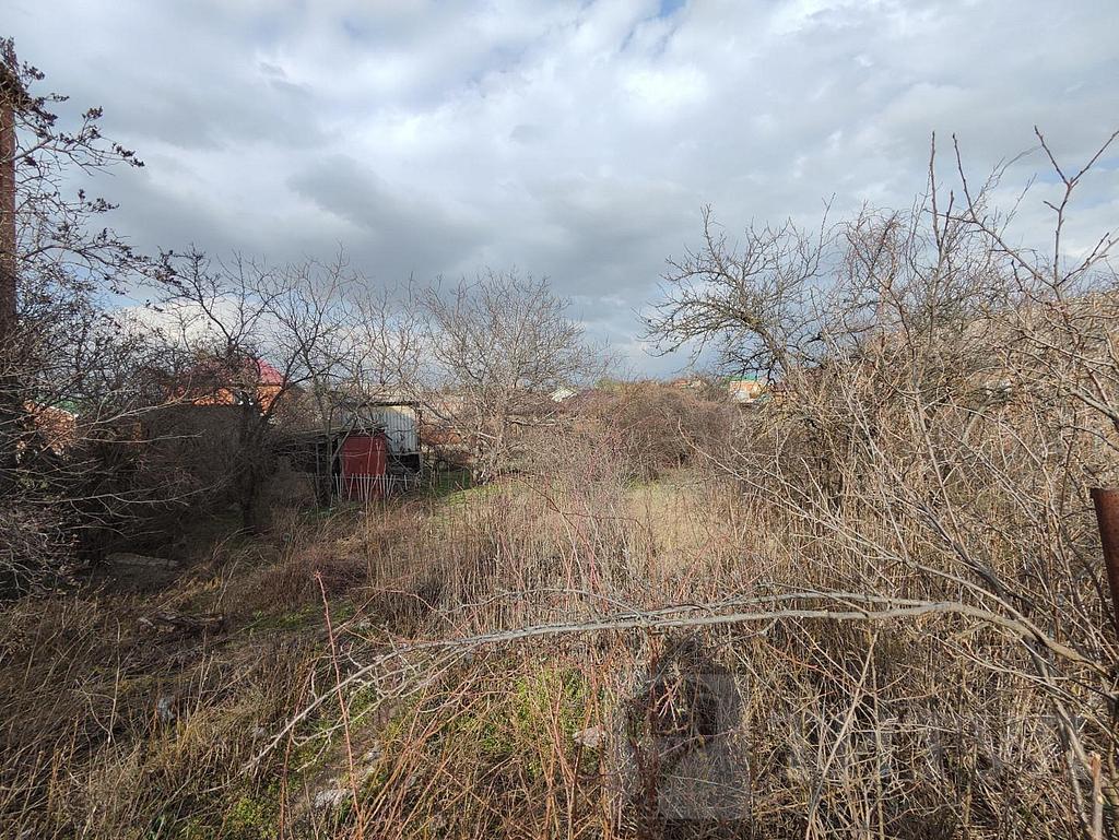 домрайон  Фото 3