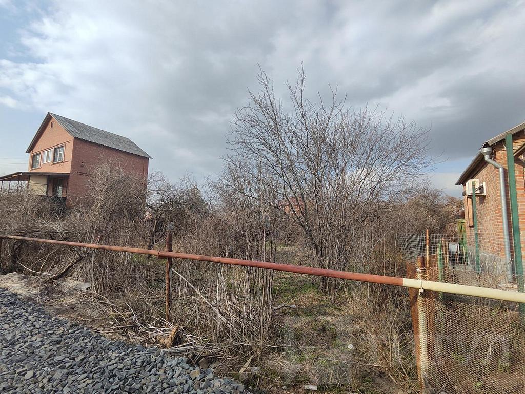 домрайон  Фото 2