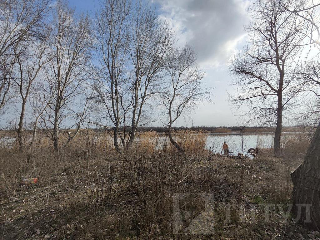 домрайон  Фото 1