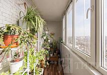 Thumb medium e762a3d56c949326d7970d71a31fc95a