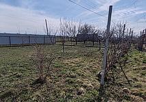 Thumb medium 40d463340bc96b9c924e303f1f863035