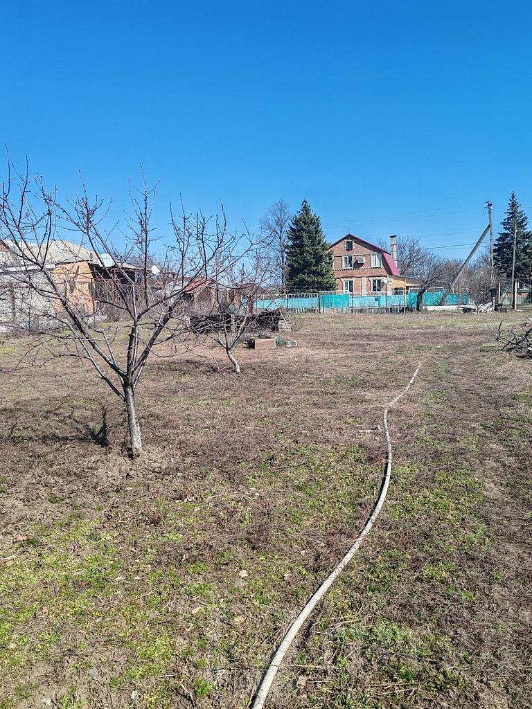 домрайон  Фото 5