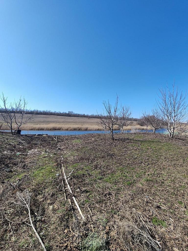 домрайон  Фото 4