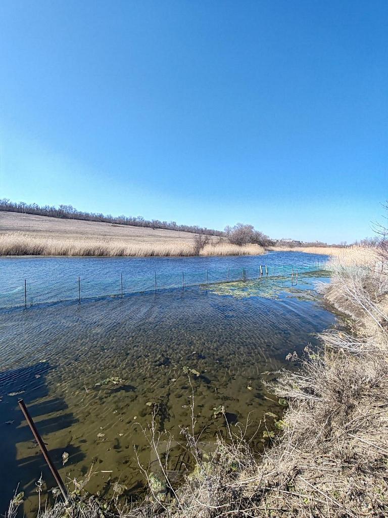 домрайон  Фото 2