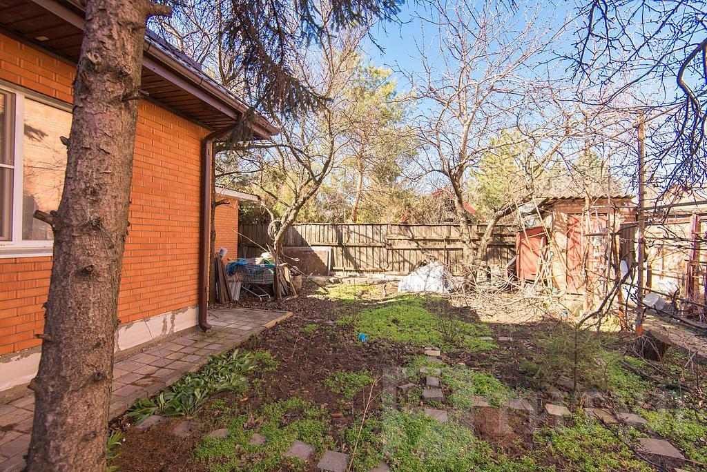 домрайон  Фото 4