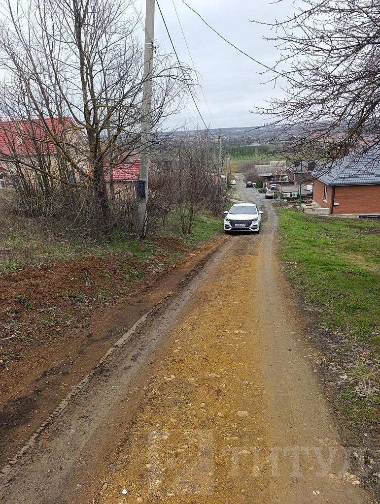 домрайон Фото 6