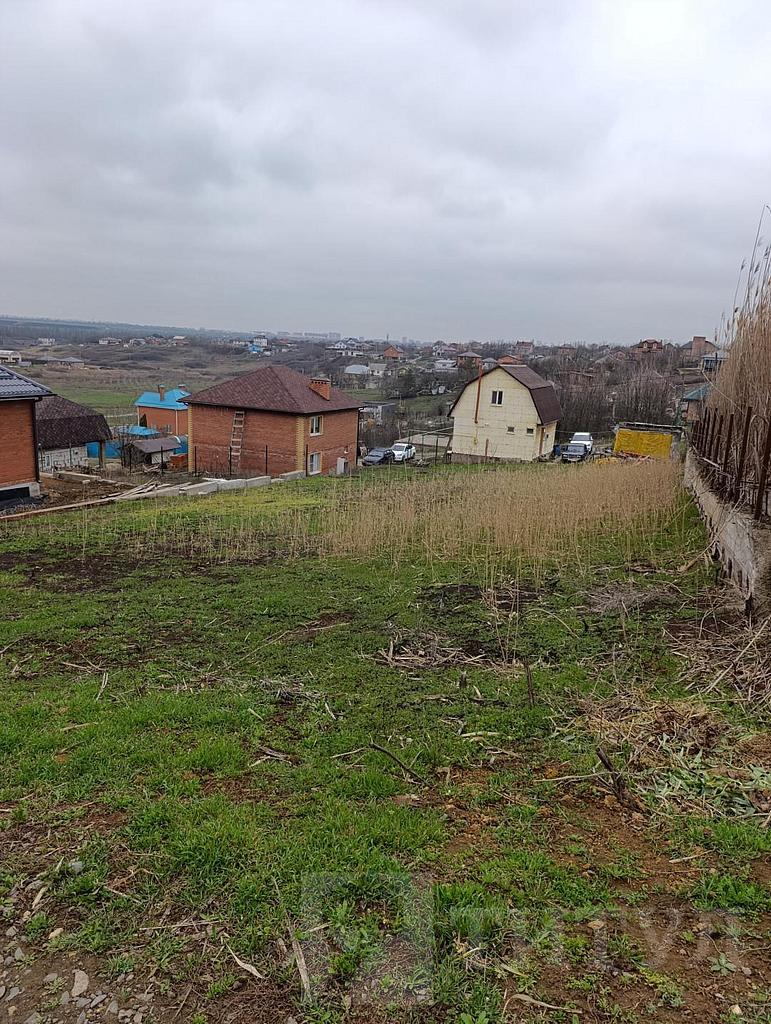 домрайон Фото 5