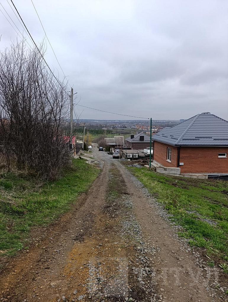 домрайон Фото 4