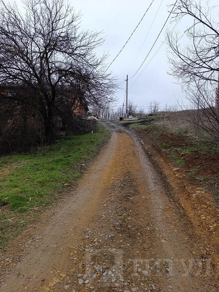 домрайон Фото 3