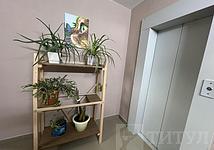 Thumb medium affa2710230f31b0a5430616897969b7