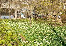 Thumb medium f4889a959eca715f96f00a538dc4ca0e