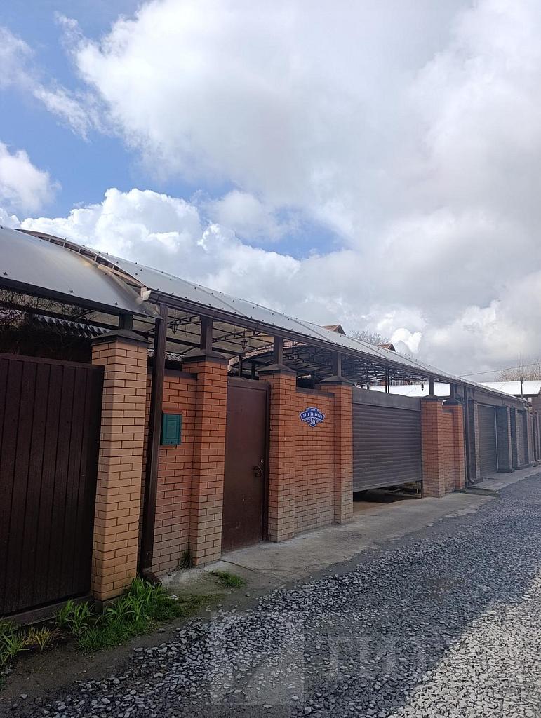 домрайон Фото 4