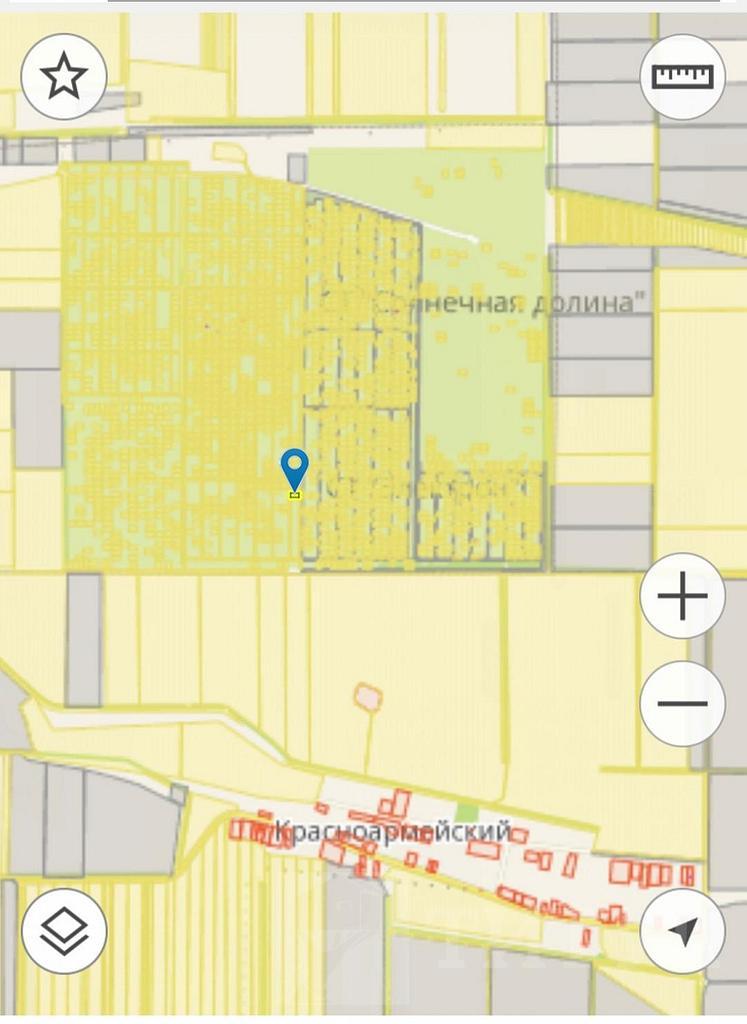 домрайон Фото 3