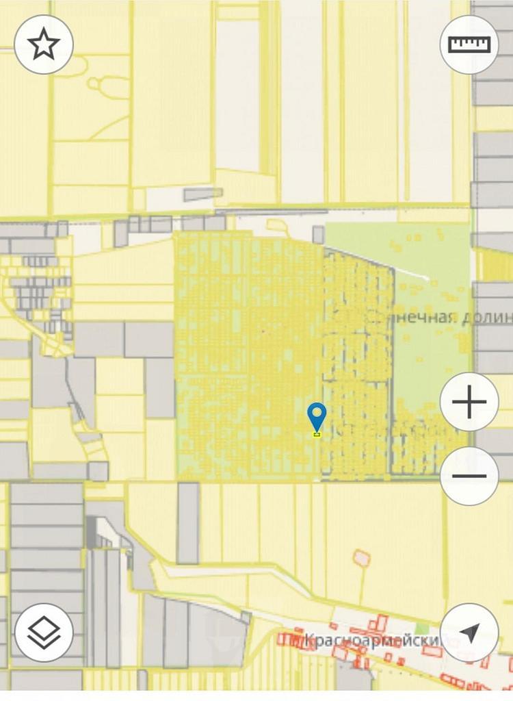 домрайон Фото 1