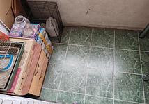 Thumb medium e0103d7c9c27f77f205336090bb3cc6e