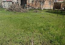 Thumb medium 558219f33936f1bcbb141d9b11d6c803